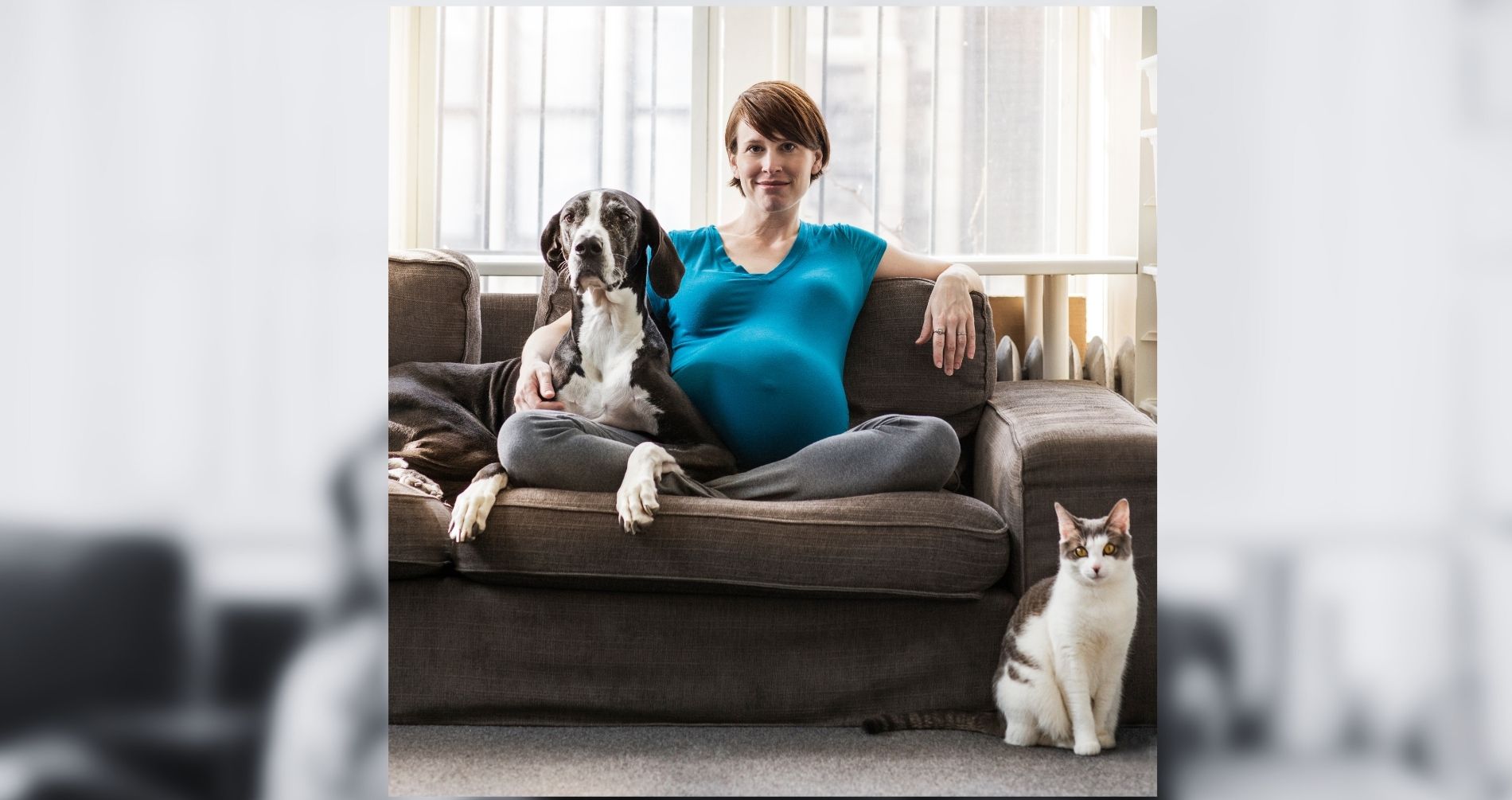 Toxoplasmosi, un'infezione che spaventa le giovani mamme